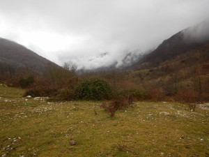 cai monterotondo monte pellecchia 31 gennaio 2016 020 (Copy)   